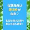 佐野海舟は勝海舟が由来？名付け親は父親で弟の名前も調査！