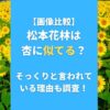 【画像比較】松本花林は杏に似てる？そっくりと言われている理由も調査！