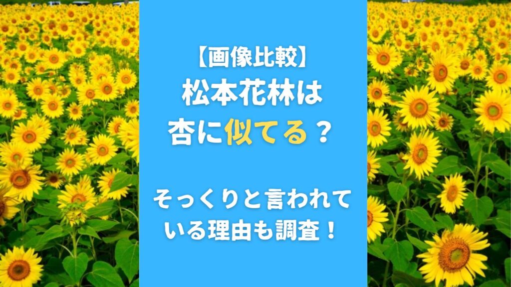 【画像比較】松本花林は杏に似てる？そっくりと言われている理由も調査！