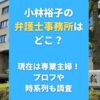 小林裕子の弁護士事務所はどこ？現在は専業主婦！プロフや時系列も調査