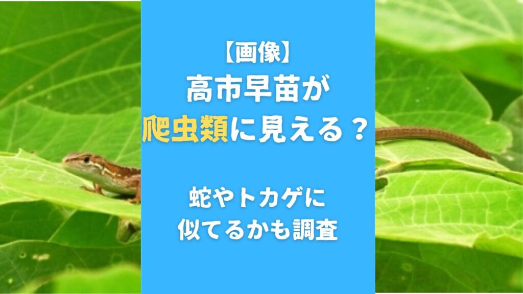 【画像】高市早苗が爬虫類に見える？蛇やトカゲに似てるかも調査