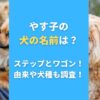 やす子の犬の名前は？ステップとワゴン！由来や犬種も調査！