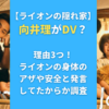 【ライオンの隠れ家】向井理がDV？理由3つ！ライオンの身体のアザや安全と発言してたからか調査