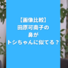 【画像比較】田原可南子の鼻がトシちゃんに似てる？