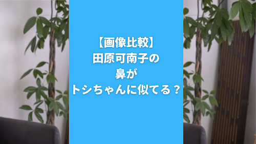 【画像比較】田原可南子の鼻がトシちゃんに似てる？