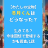 【わたしの宝物】冬月くんはどうなった？生きてる？今後回想で登場するかも調査/1話