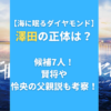 【海に眠るダイヤモンド】澤田の正体は？候補5人！賢将や怜央の父親説も考察！